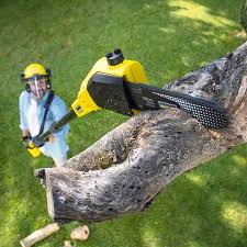 Best Commercial Tree Services  in Muscle Shos, AL